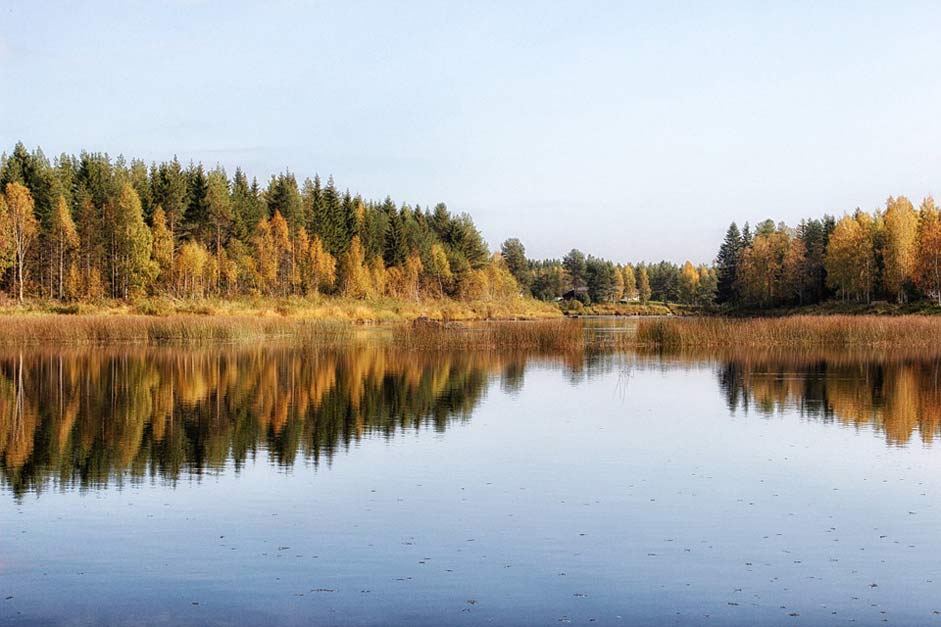 Pond Water Lake Finland