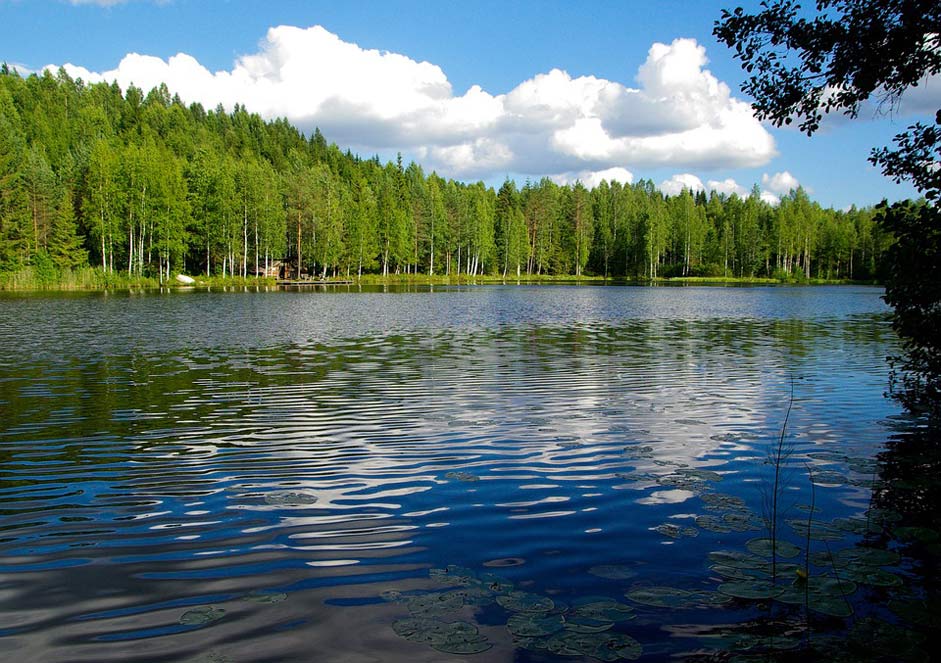  Forest Lake Finland