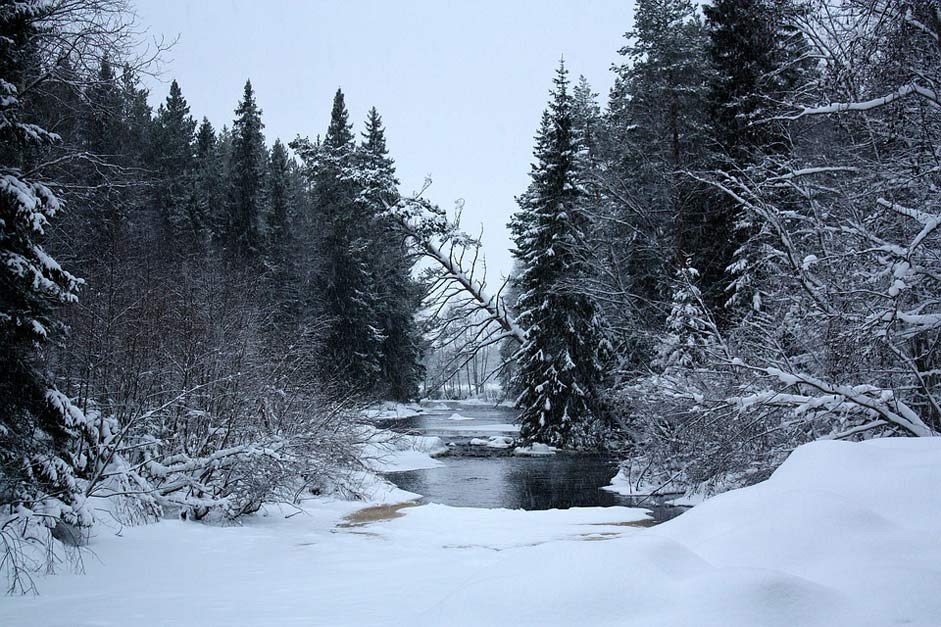 Snow Winter Landscape Finland