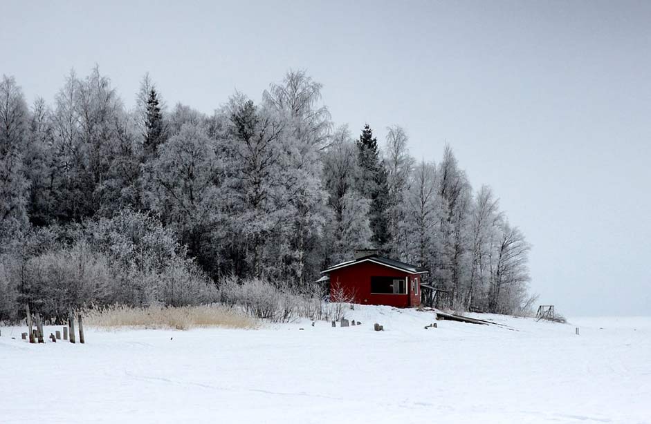Forest Scenic Landscape Finland