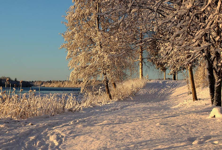 Winter Scenic Landscape Finland
