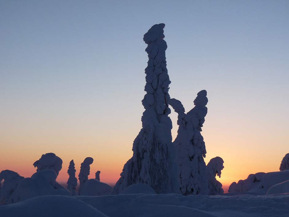 Snow-Landscape Lapland Snow Finland