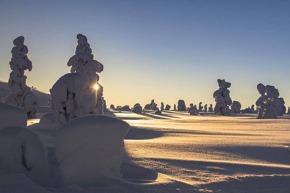 Landscape Snow Winter Lapland