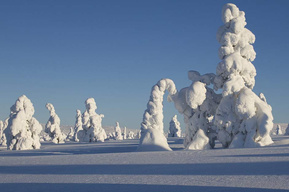 Landscape Snow Winter Lapland