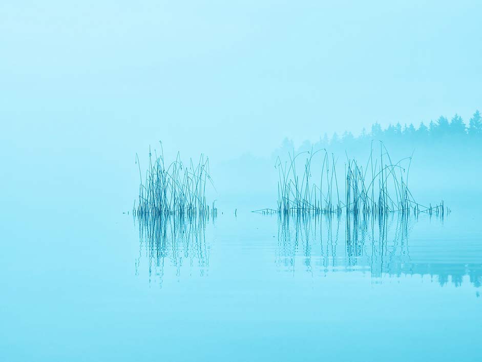 Silhouette Lake Mist Morning
