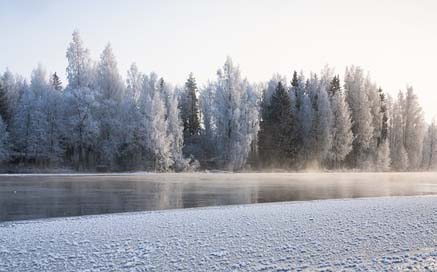 Winter Ice Frost River Picture