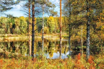 Finland Lake Pond Hdr Picture
