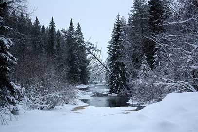 Finland Snow Winter Landscape Picture