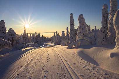 Finland Cross-Country-Skiing Wintry Lapland Picture