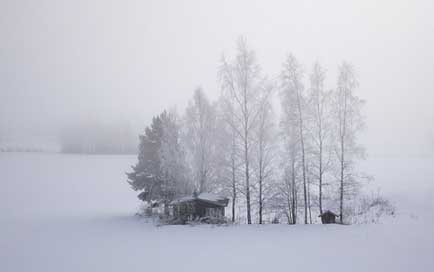 Finland Cold Field Snow Picture