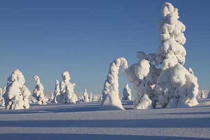 Lapland Landscape Snow Winter Picture