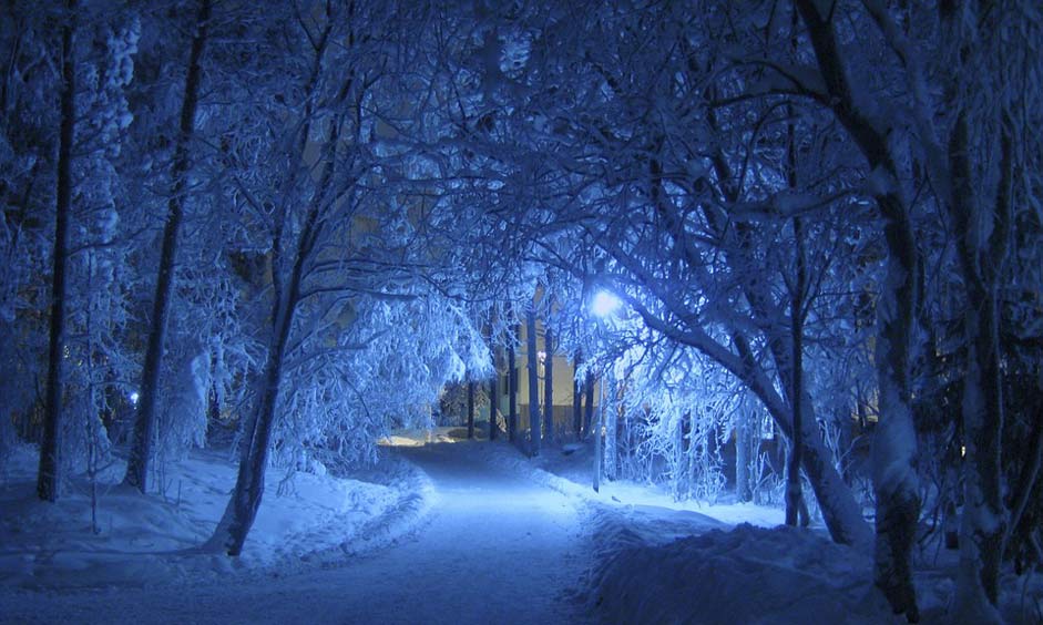 Shade Blue Night Winter