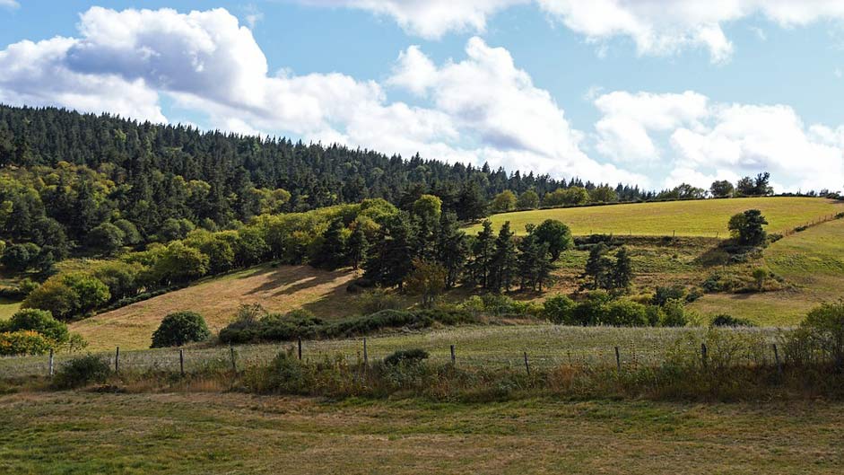 Rural Landscape Agriculture Field