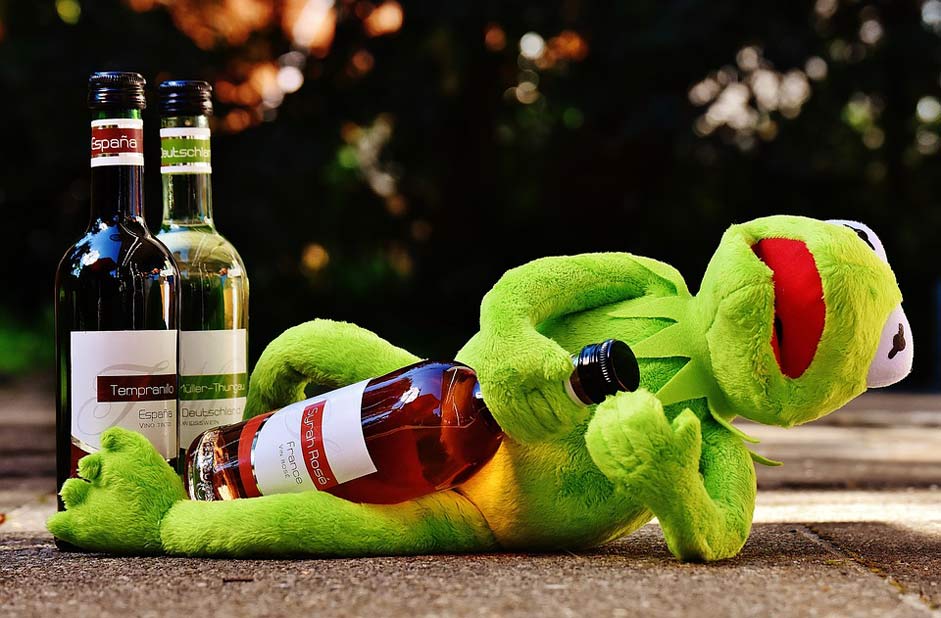 Drink Wine Frog Kermit
