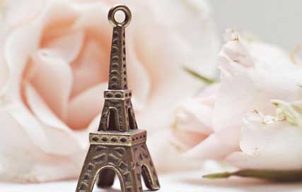 Eiffel-Tower Places-Of-Interest France Roses Picture