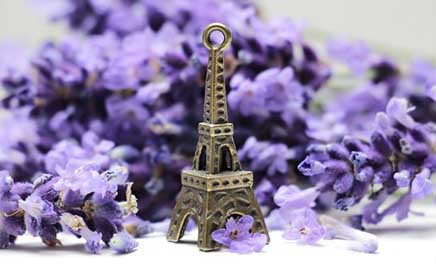 Eiffel-Tower Places-Of-Interest France Roses Picture