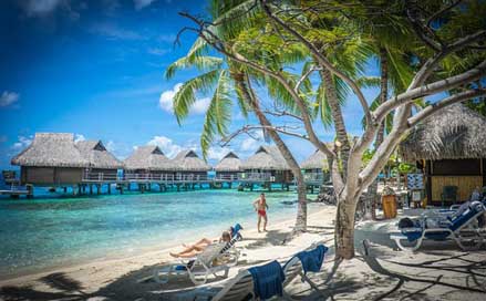 Bora-Bora  Palm-Trees Over-Water-Bungalows Picture