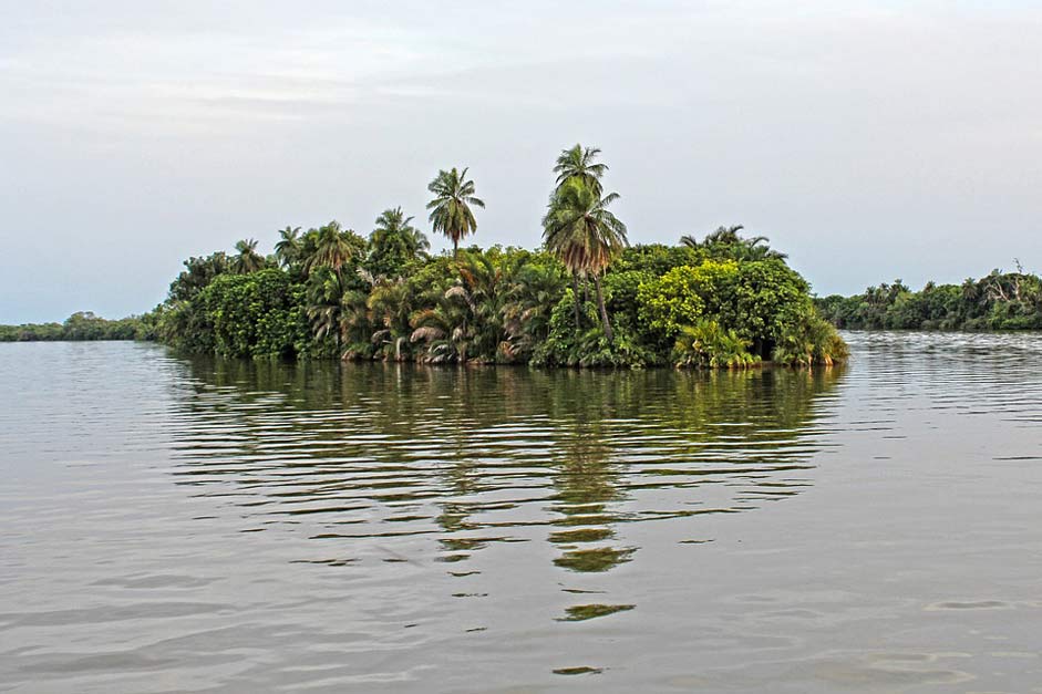 Nature Africa Tropical Island
