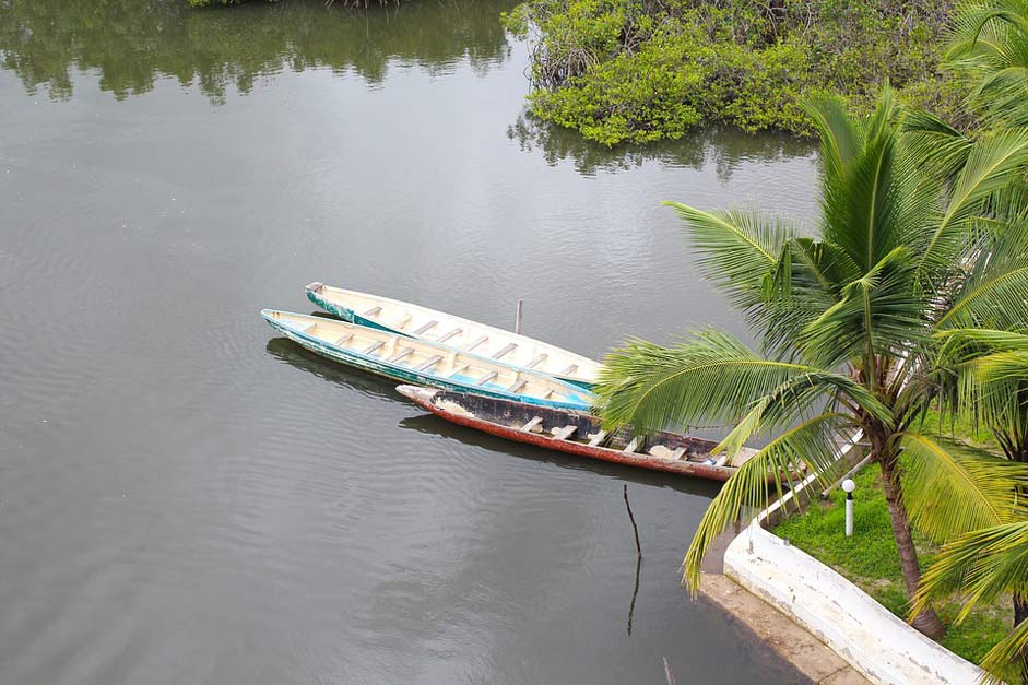 Water River Tropics River-Boats