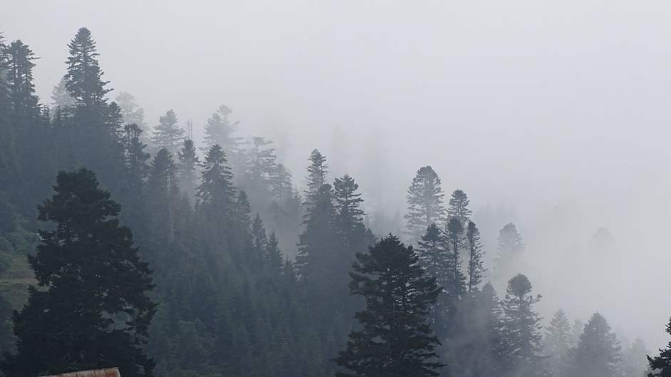  Fog Mountains Georgia