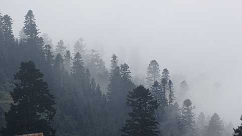 Georgia  Fog Mountains Picture