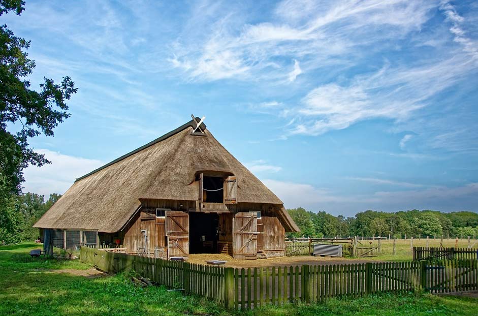 Nature-Reserve Sheep-Barn Lneburg-Heath Germany