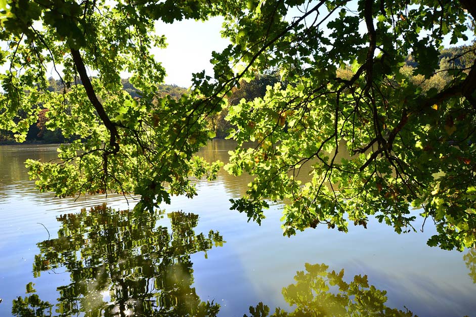 Places-Of-Interest Thuringia-Germany Greiz Park