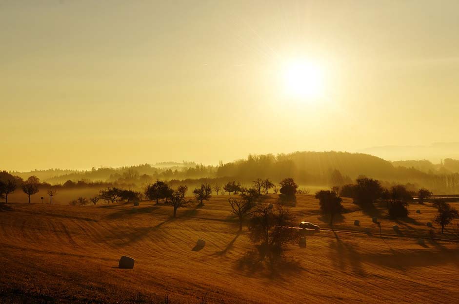 Lonely Fields Landscape Sunrise