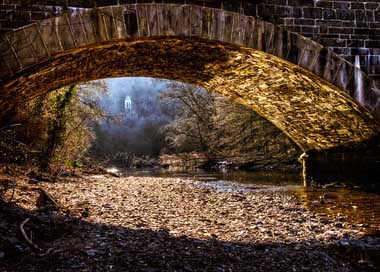 Bridge Bank Nature River Picture