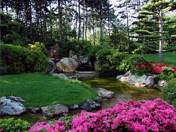Landscape  Ornamental-Garden Japanese-Garden Picture
