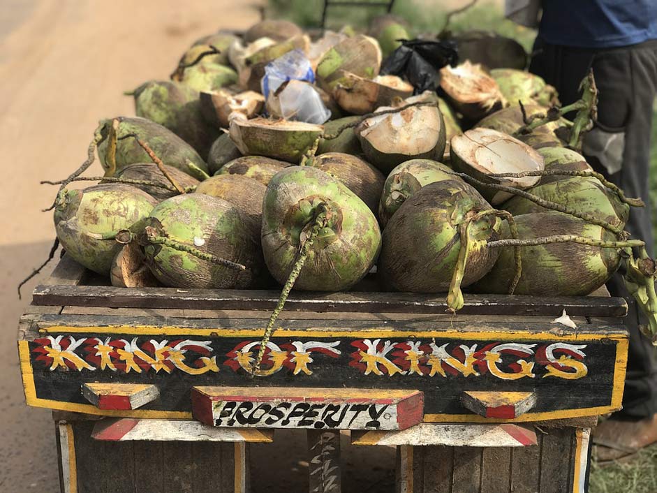 Africa St Ghana Coconuts