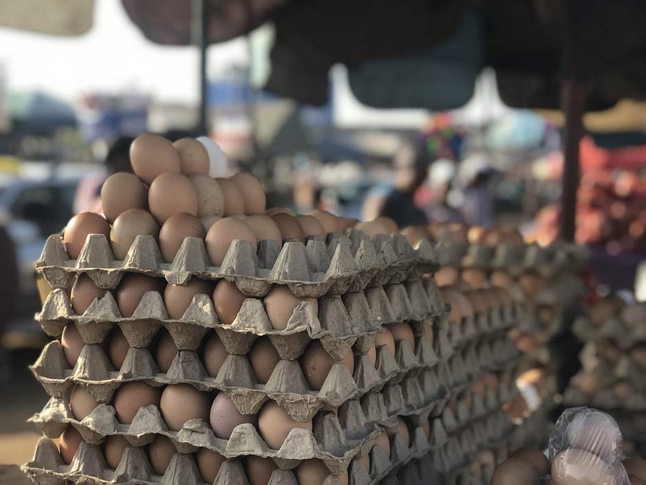 Chicken Crate Market Eggs