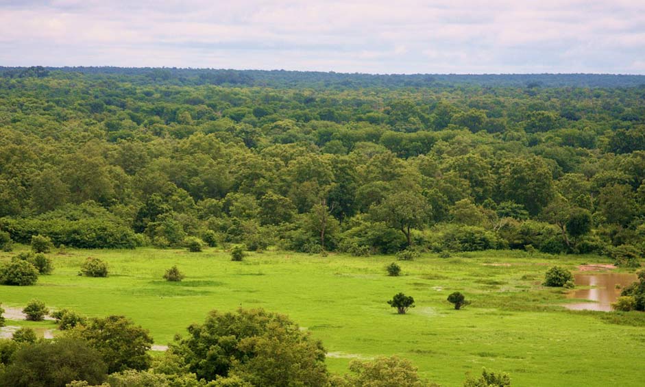  Tourism-Ghana Mole-National-Park National-Park