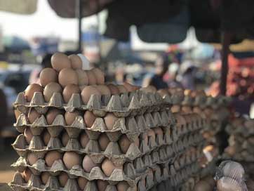 Eggs Chicken Crate Market Picture