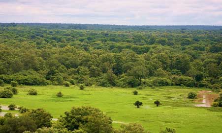 National-Park  Tourism-Ghana Mole-National-Park Picture