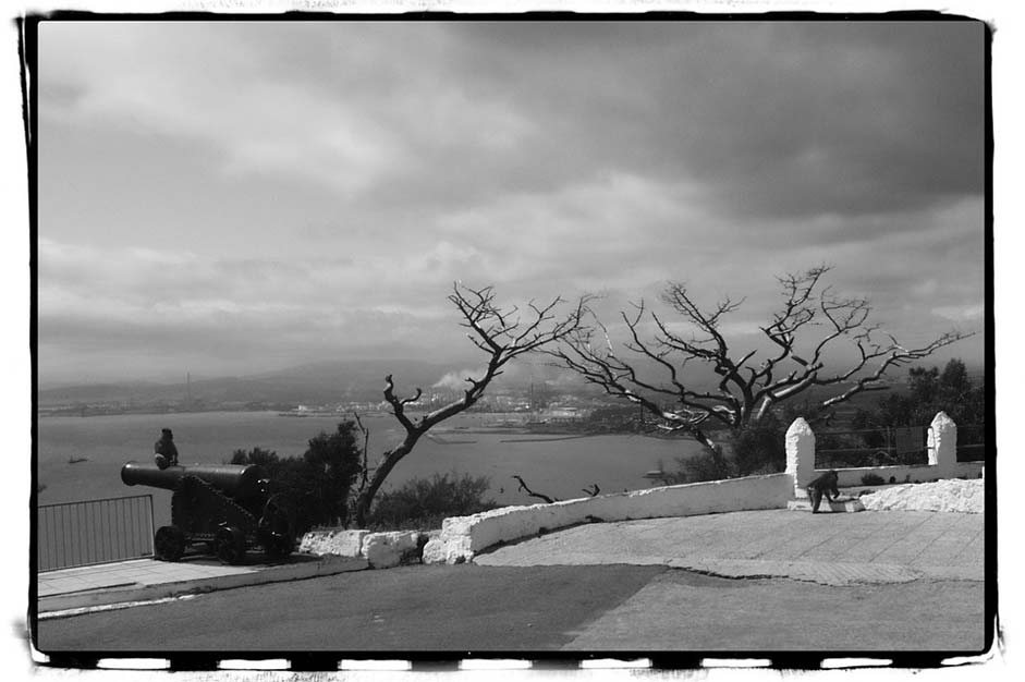 Landscape Cannon Black-And-White Gibraltar
