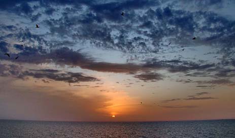 Sunset Sea Atlantic Ocean Picture