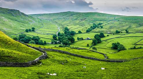 Cry-Stone-Walls Malham Dales Yorkshire Picture
