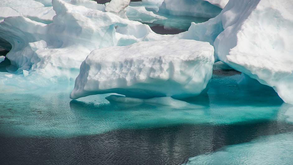 Wilderness Sea Frozen Drift-Ice