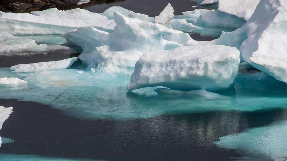 Wilderness Sea Frozen Drift-Ice