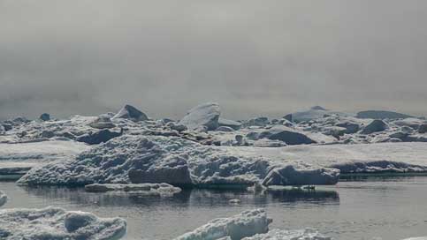 Drift-Ice Sea Frozen Iceberg Picture