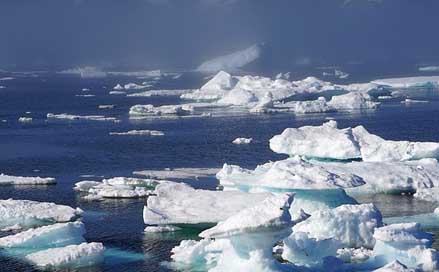 Icebergs Greenland Ice Sea Picture
