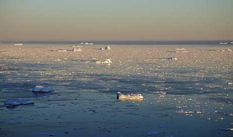 Greenland Ice Arctic-Circle Mer-De-Glace Picture