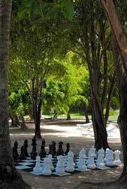 Chess Pastime Beach Game Picture