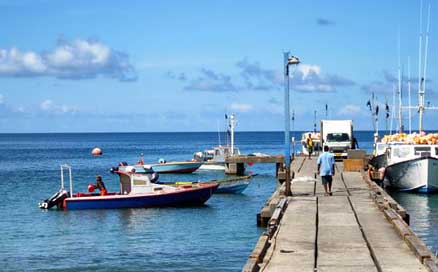 Grenada Ocean Sea Fishermen Picture
