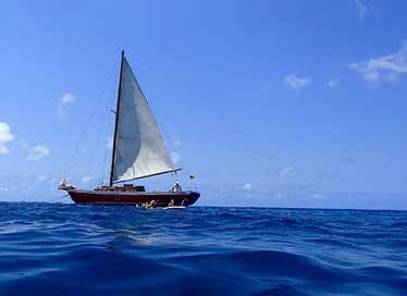 Sail Island Grenada Ocean Picture