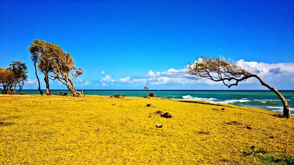 Guadeloupe Caribbean Wind Beach