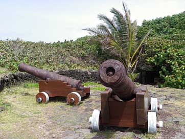 Cannons Vintage Military Gun Picture