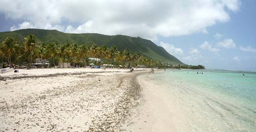 The-Dsirade Beach Guadeloupe West-Indies Picture