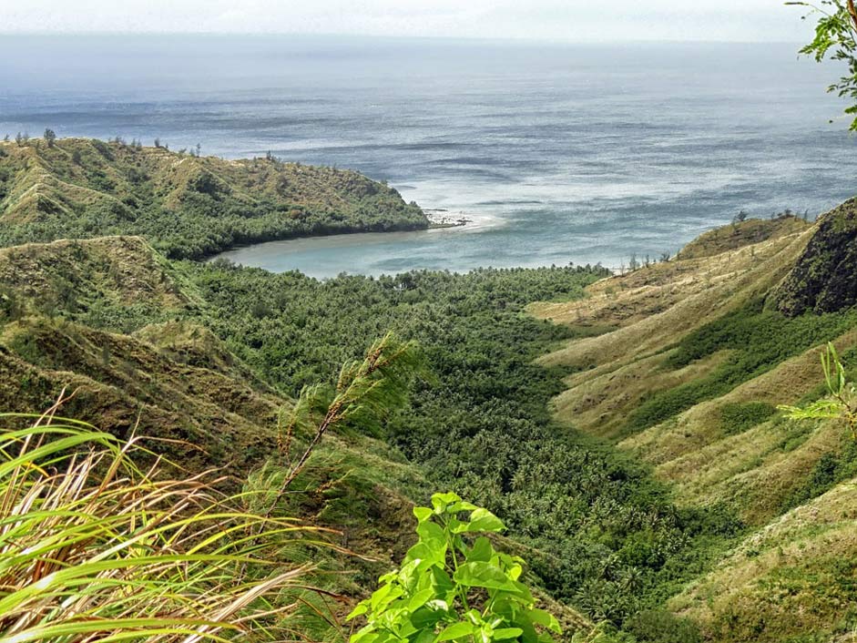 Trees Forest Guam Cetti-Bay